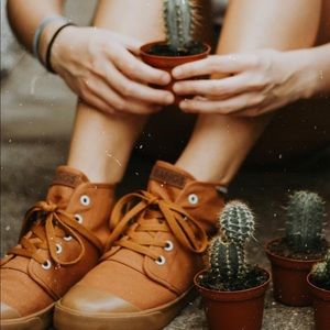Size 8 Bangs Sahara Sand high tops - worn once